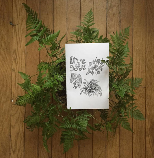 Live Goods Zine (2016)