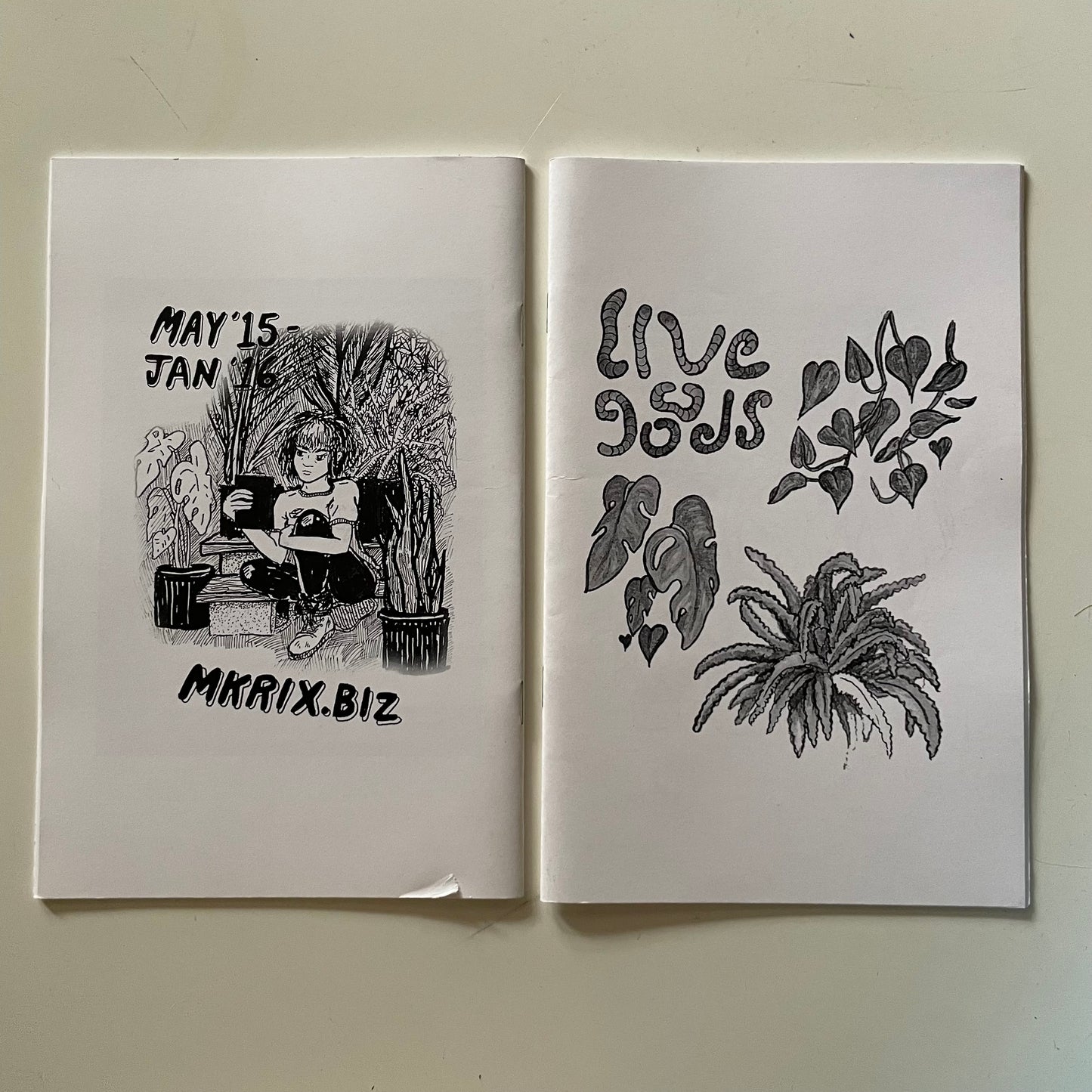 Live Goods Zine (2016)