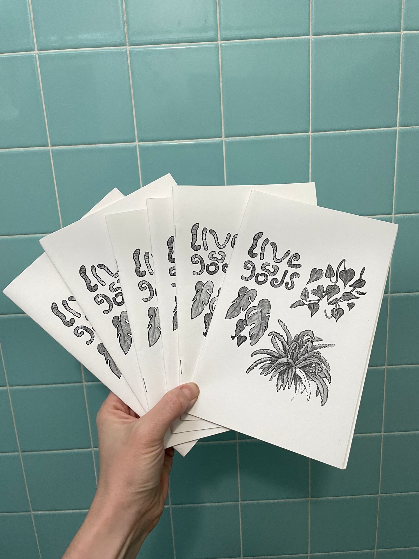 Live Goods Zine (2016)